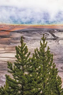 Prints of Elevated view of Grand Prismatic spring and colorful bacterial mat, Yellowstone National Park, Wyoming USA Prints: Elevated view of Grand Prismatic spring and colorful bacterial mat