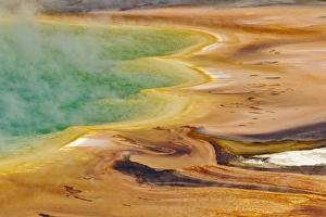 Elevated view of Grand Prismatic Spring and patterns in bacterial mat, Midway Geyser Basin
