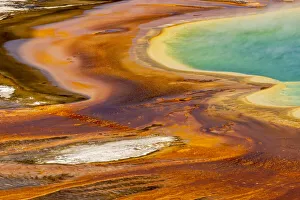 Elevated View Prints: Elevated view of patterns in bacterial mat around Grand Prismatic spring