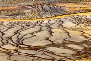 Elevated view of patterns in bacterial mat around Grand Prismatic spring, Midway Geyser Basin, Yellowstone National Park, Wyoming