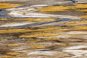 Elevated view of patterns in bacterial mat around Grand Prismatic spring, Midway Geyser Basin, Yellowstone National Park, Wyoming