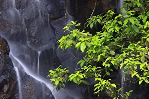 Images Dated 28th October 2010: Ellinjaa Falls is one of three scenic waterfalls on the 15km Waterfall Circuit just