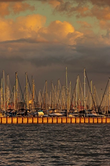 Elliott Bay Prints: Elliott Bay Marina, Smith Cove, Seattle, Washington State, USA