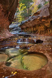 Perspective Prints: Emerald green pools in The Subway, Left Fork of North Creek, Zion National Park, Utah