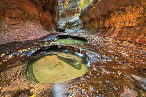Perspective Prints: Emerald green pools in The Subway, Left Fork of North Creek, Zion National Park, Utah