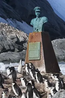 Penguin Prints: Endurance Memorial Site, Point Wild on Elephant Island