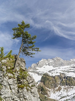Images Dated 11th May 2012: Eng Valley, Karwendel mountain range, Austria, view towards mount Lamsenspitze