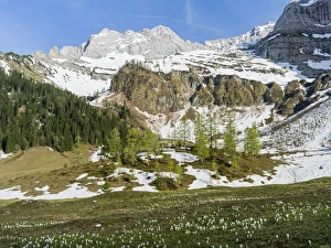 Images Dated 10th May 2012: Eng Valley, Karwendel mountain range, Austria, view towards mount Lamsenspitze