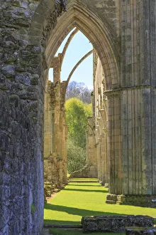 Images Dated 4th May 2017: England, North Yorkshire, Rievaulx