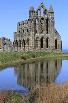 Images Dated 5th May 2017: England, North Yorkshire, Whitby. North Sea, East cliff