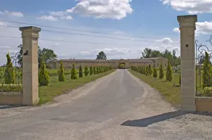 Entry Prints: The back entrance to the Chateau Haut Bertinerie with gate posts and a tree lined