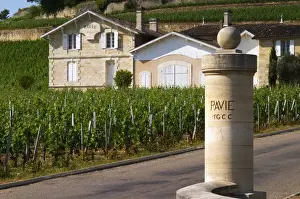 Bucolic Prints: The entrance to Chateau Pavie 1er premier first Grand Cru Classe (1GCC), a stone