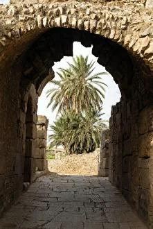 Images Dated 22nd June 2010: Entrance to the Theater, Roman ruins of Bulla Regia, Tunisia, North Africa