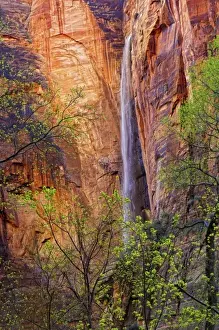 River Side Prints: Ephermal waterfall at Riverside walk trailhead during spring, Zion National Park, Utah