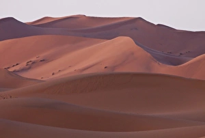 Sahara Desert Prints: Erg Chebbi dune, Merzouga, Morocco