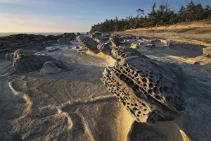 Eroded sandstone concretions and formations at Shore Acres State Park, Oregon