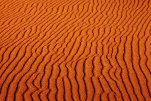 Images Dated 12th January 2011: Erosion pattern in sand dune, Oregon Dunes National Recreation Area, OR