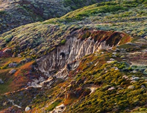 Images Dated 22nd July 2006: Erosion on rolling coastal hills, California