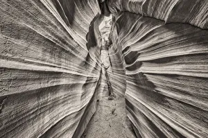 Escalante Canyons