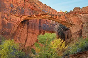 View From Below Prints: Escalante Natural Bridge, Grand Staircase-Escalante National Monument, Utah