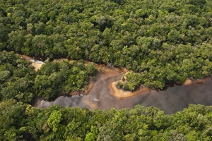 Images Dated 16th December 2009: Essequibo River Longest river in Guyana
