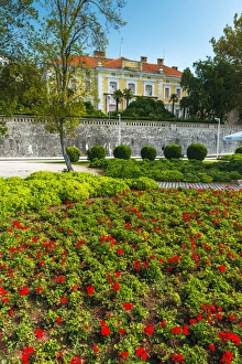 Images Dated 27th September 2014: Estate and flowers on the promenade, Old Town Zadar, Dalmatian Coast, Croatia