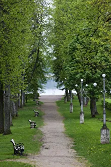 Images Dated 16th May 2010: Estonia, Southeastern Estonia, Voru, Kateriina allee, tree-lined path