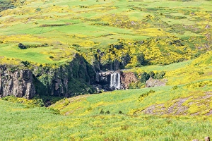 Prints of Ethiopia. Amhara. Waterfall in a hillside covered in wildflowers Images Dated 2024 April: Ethiopia. Amhara. Waterfall in a hillside covered in wildflowers