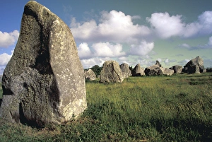 Images Dated 8th June 2011: EU, France, Brittany, Morbihan, Carnac. Alignments de Kerlescan, Megalithic Stones