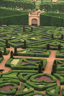 Images Dated 13th June 2011: EU, France, Loire Valley, Indre-et-Loire, Villandry. Jardins et Chateau Villandry