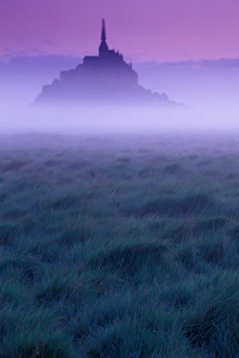 Images Dated 31st May 2005: EU, France, Normandy, Manche, Mont St Michel. Dawn, mist, and field