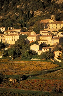 Vaucluse Prints: 03