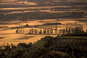 Images Dated 31st May 2005: EU, France, Provence, Vaucluse, Gordes. Countryside