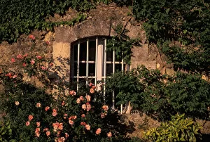 Images Dated 31st May 2005: EU, France, Provence, Vaucluse, Manerbes. Peter Mayle Country, window & flowers