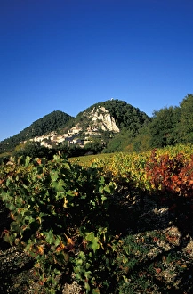 Vaucluse Prints: EU, France, Provence, Vaucluse, Seguret. Vineyards in autumn