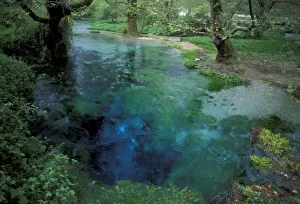 Europe, Albania. Blue Eye Spring, in forest surrounding Durres, natural spring of