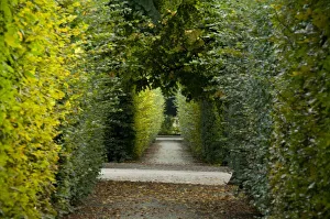 Europe, Austria