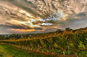 Images Dated 1st October 2010: Europe, Austria