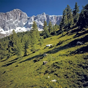 Europe, Austria, Dachstein Alps. The limestone plateau pokes above green meadows