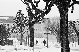 Salzburg Prints: Europe, Austria, Salzburg. Winter, Mirabellgarten