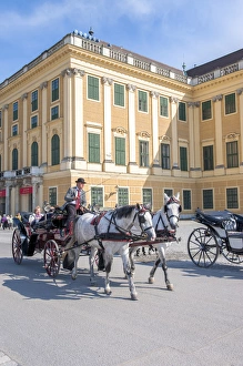 Images Dated 23rd May 2010: Europe, Austria, Vienna, Schonbrunn Palace, horse-drawn carriage ride