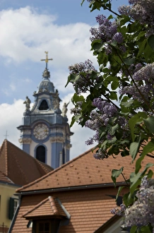 Images Dated 29th April 2009: Europe, Austria, Wachau Valley, Lower Austria, Durnstein, abbey, clock tower