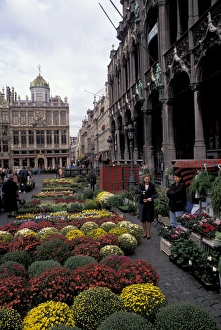 Main Square Prints: Europe, Belgium, Brussels Flower market, Grand Place