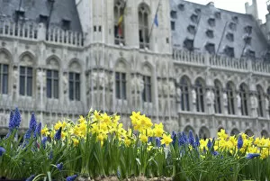 Images Dated 2nd April 2008: Europe, Belgium, Flanders, Brussels, flowers in Grand Place, town hall