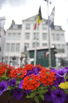 Flanders Prints: Europe, Belgium, Ghent. Flowers near Ghents waterfront, historic buildings