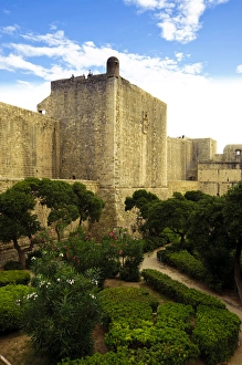 Dubrovnik Prints: Europe, Croatia, Dubrovnik, Old Town, Tower Bokar and garden