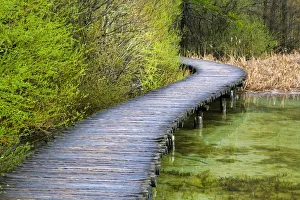 Boardwalk Prints: Europe, Croatia, Plitvice Lakes National Park. Wooden walkway over lake. Credit as