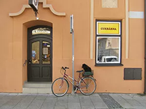 Images Dated 12th September 2006: Europe, Czech Republic, Ceske Budejovice. A small poodle waits patiently on his bicycle