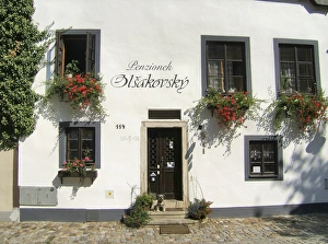 Images Dated 13th September 2006: Europe, Czech Republic, Cesky Krumlov. A Miniature Schnauser stands guard at colorful