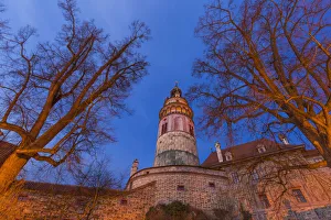 Lighting Prints: Europe, Czech Republic, Cesky Krumlov. Castle and trees at sunset